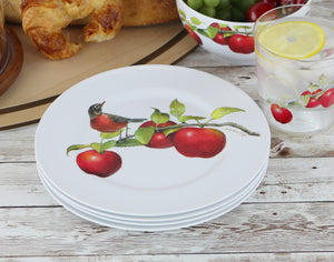 6pc Melamine Salad Plate Set, Harvest Apples