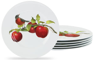 6pc Melamine Salad Plate Set, Harvest Apples